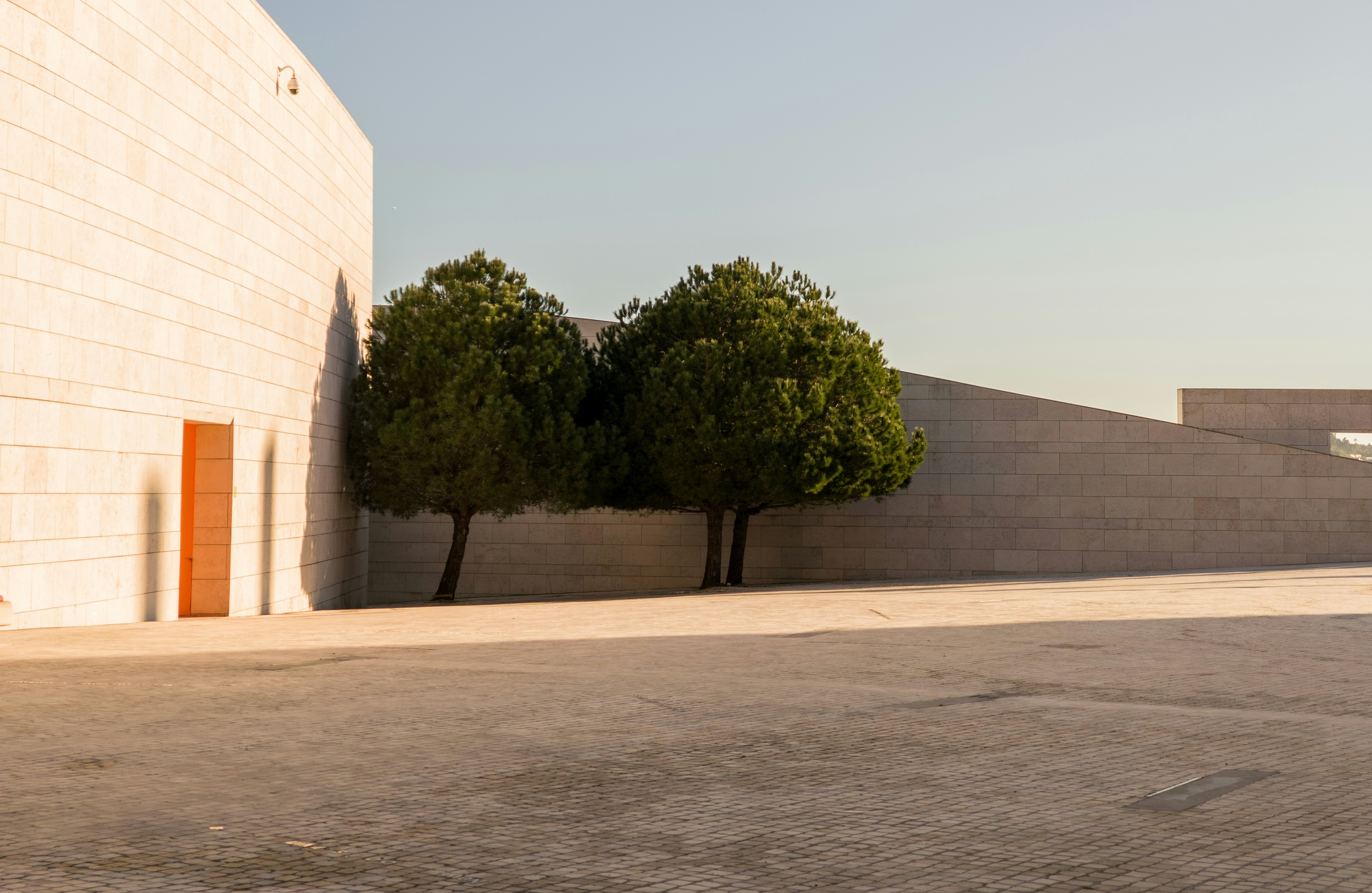 Muro de pedra clara com dois pinheiros e a praça vazia, ao fim da tarde